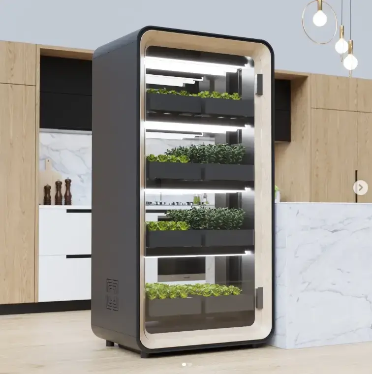 Captura de pantalla 2025-03-18 221456