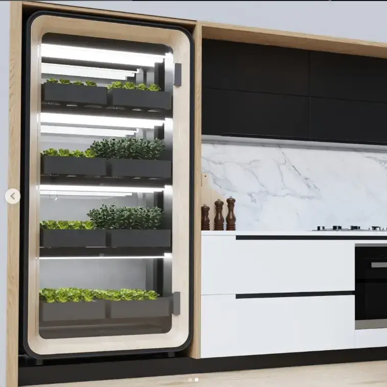 Captura de pantalla 2025-03-18 221504