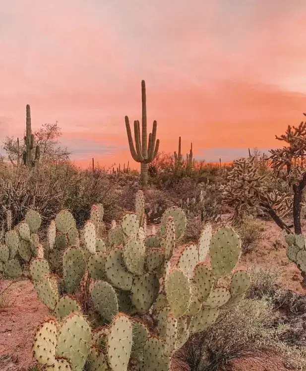 Captura de pantalla 2025-03-18 234803