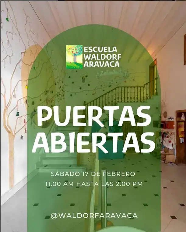 Captura de pantalla 2025-03-19 003342