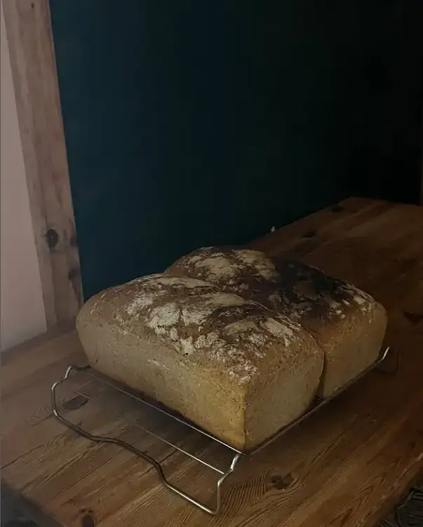 Captura de pantalla 2025-03-19 003507